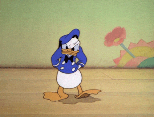 01.gif