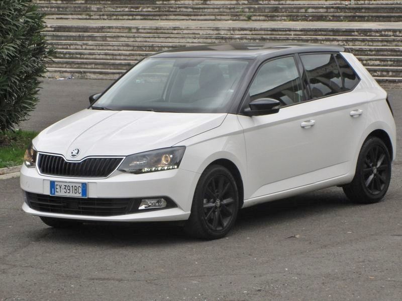 13832-skoda-fabia-tsi-copertina.JPG