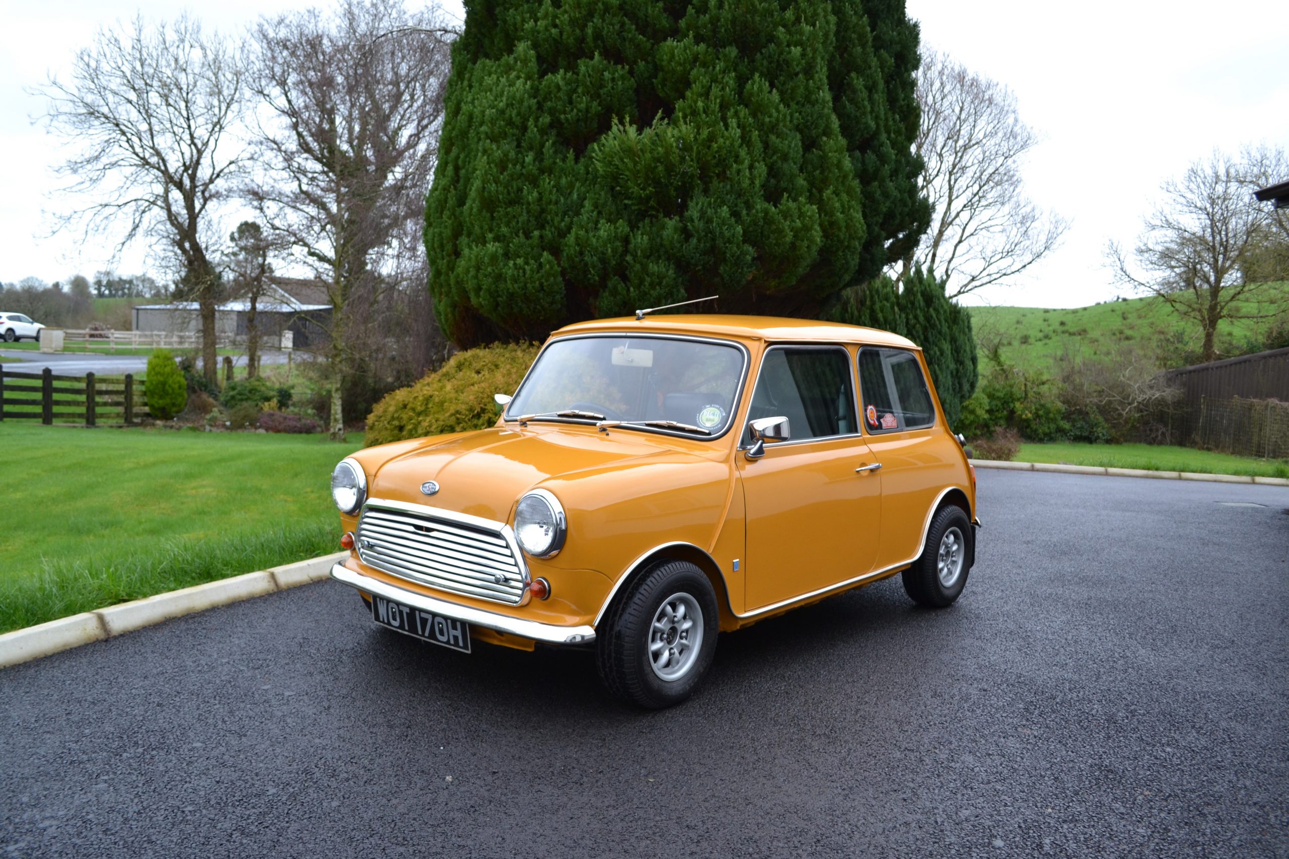 1970-MINI-1-of-33-scaled.jpeg