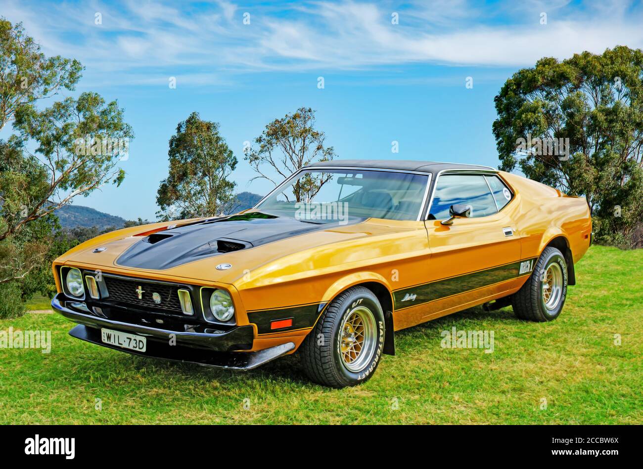 1973-ford-mach-1-mustang-2ccbw6x.jpg