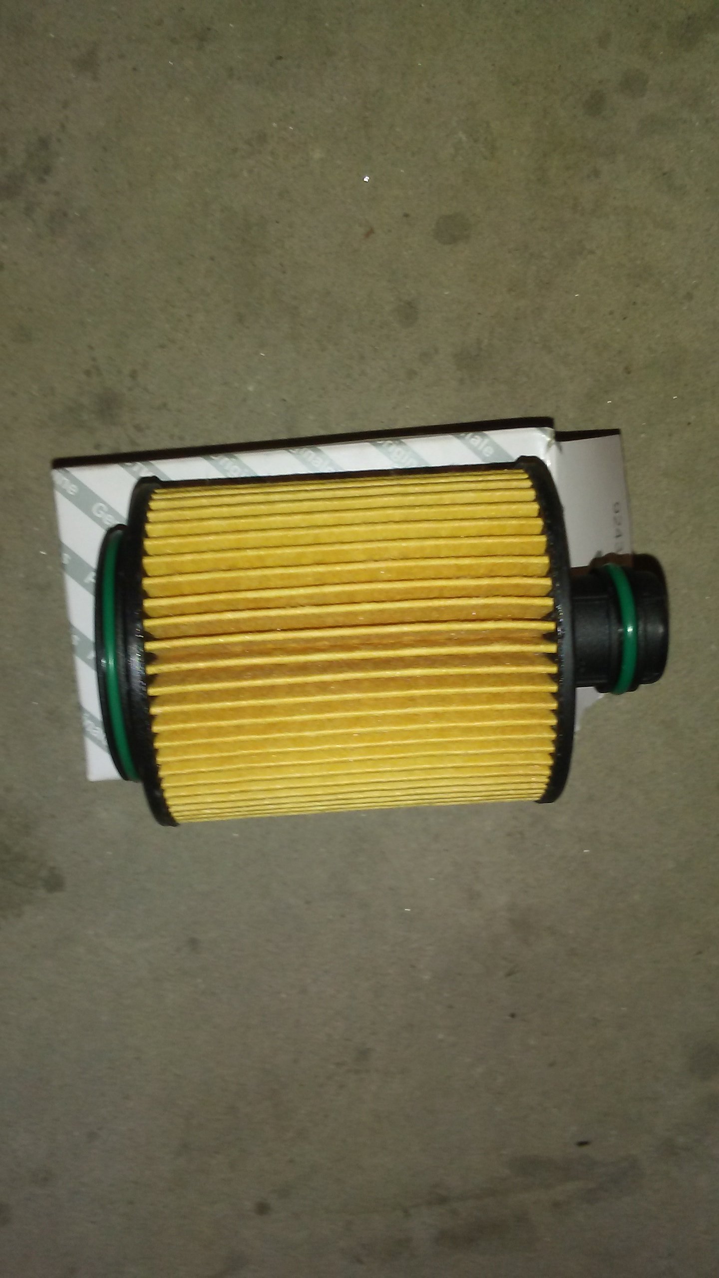 20170716_053101.jpg