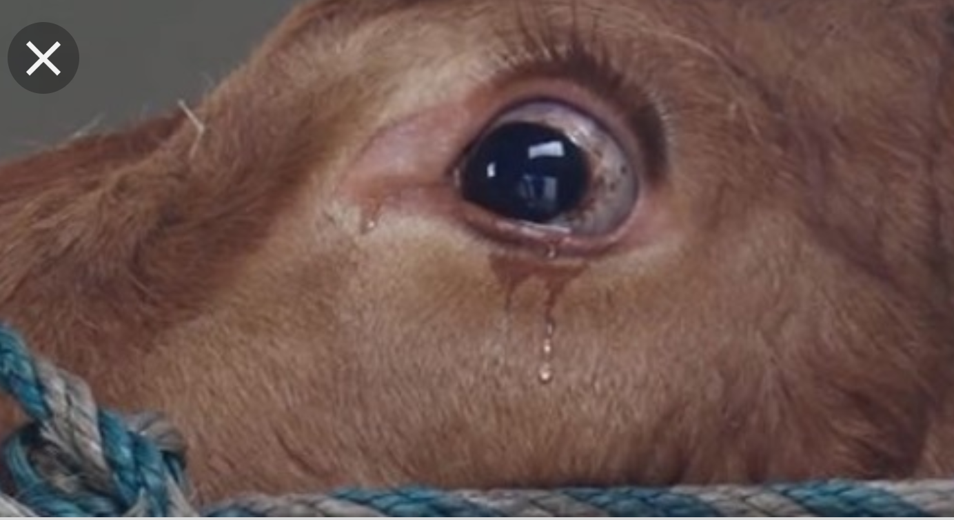 20190314_131816.png