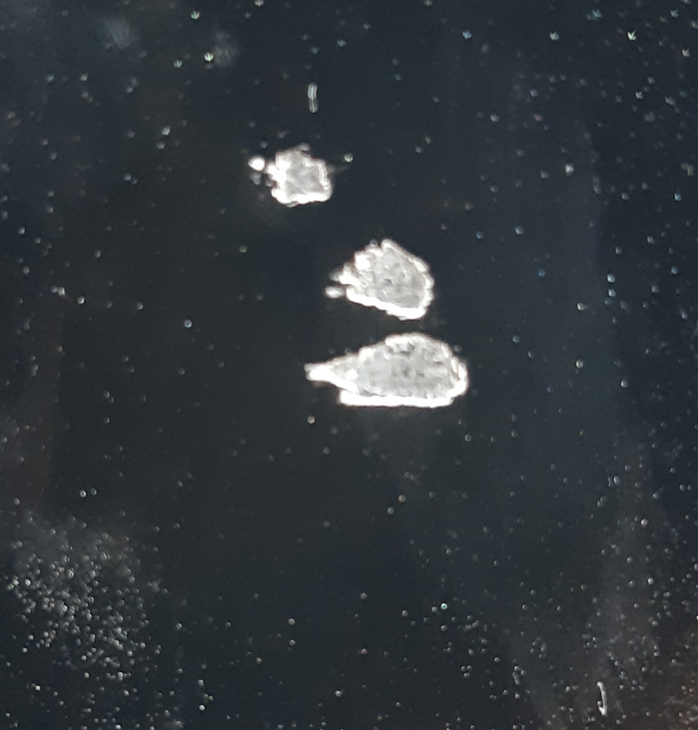20190915_151339.jpg