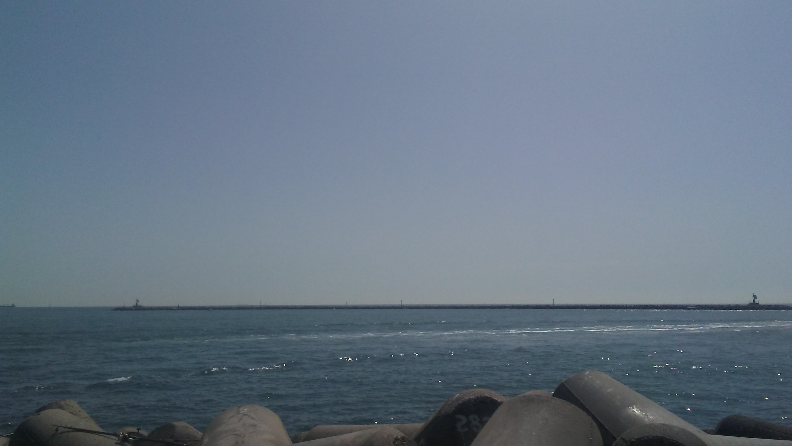 20200517_104747.jpg