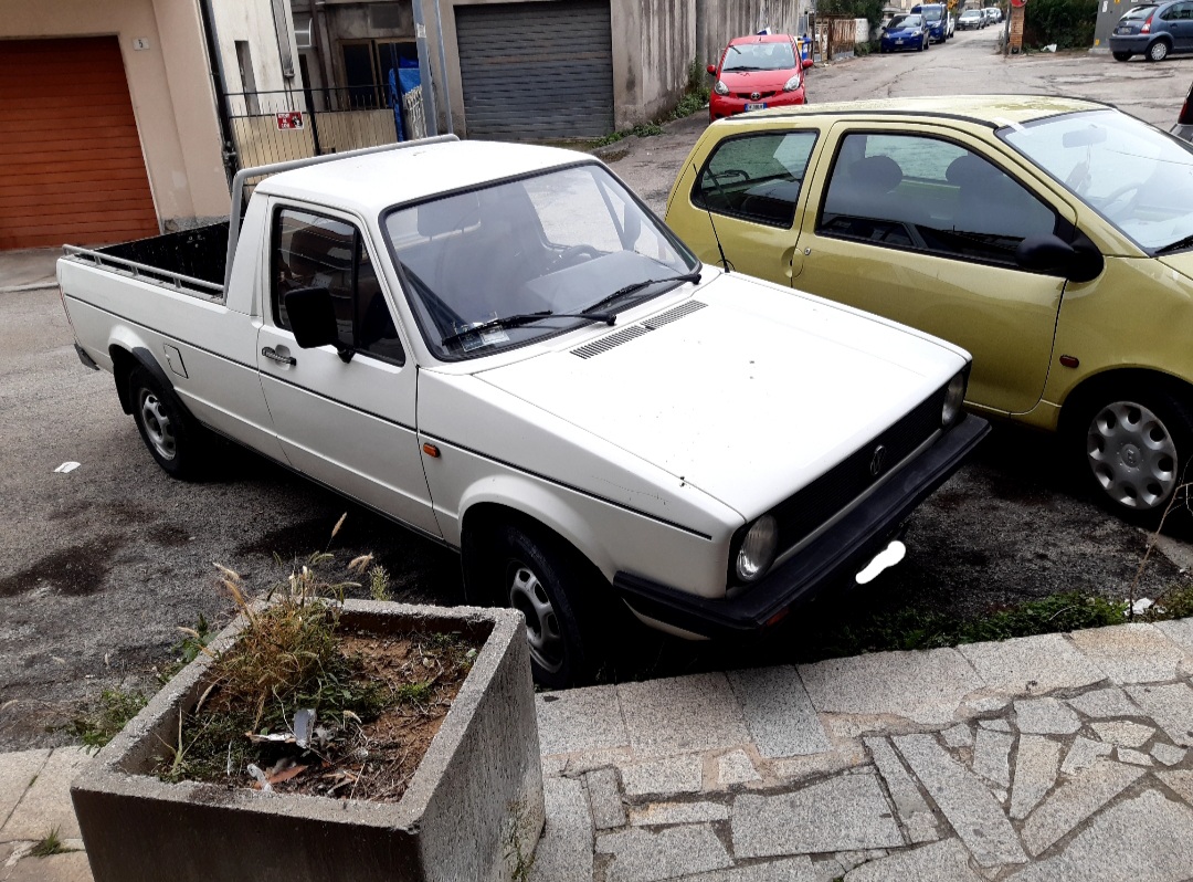 20201101_114248.jpg