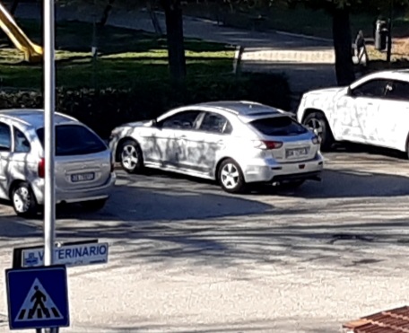 20201216_113620.jpg