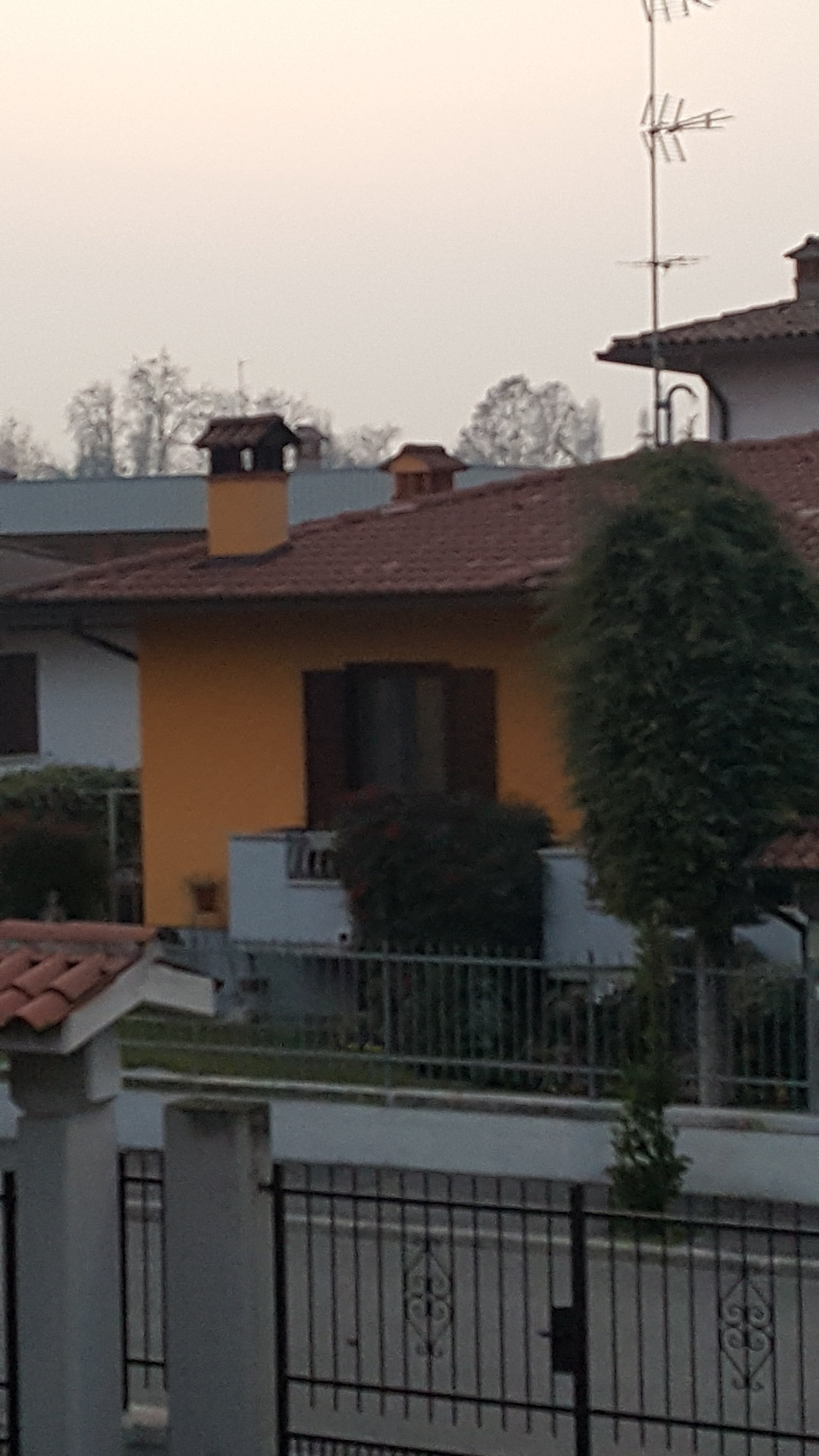 20220120_172301.jpg