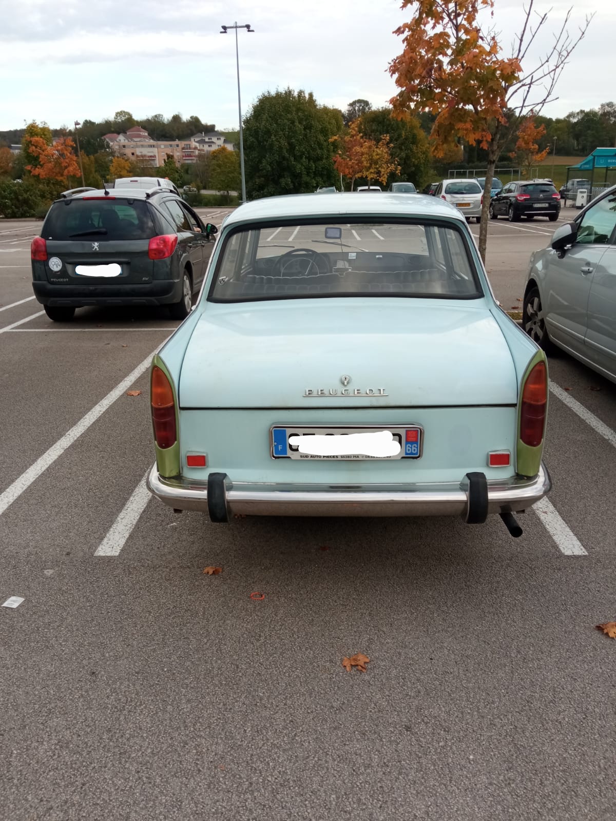 20221016_144421.jpg