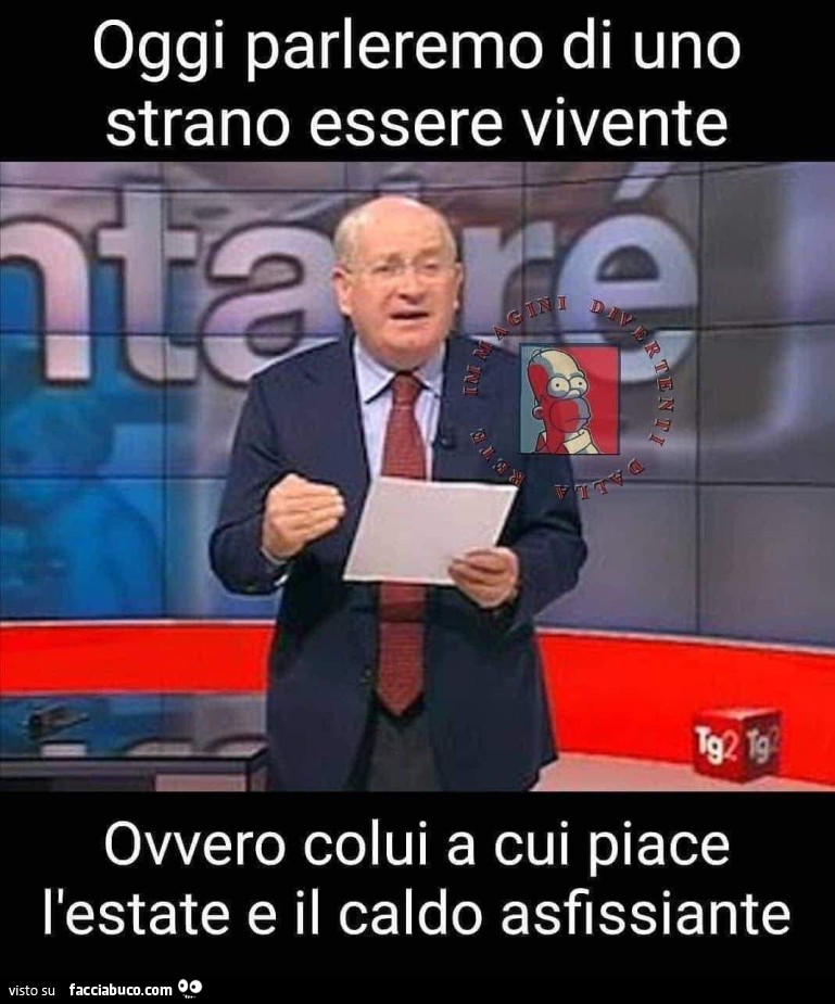 2tmvx89x85-vaccata_b.jpg