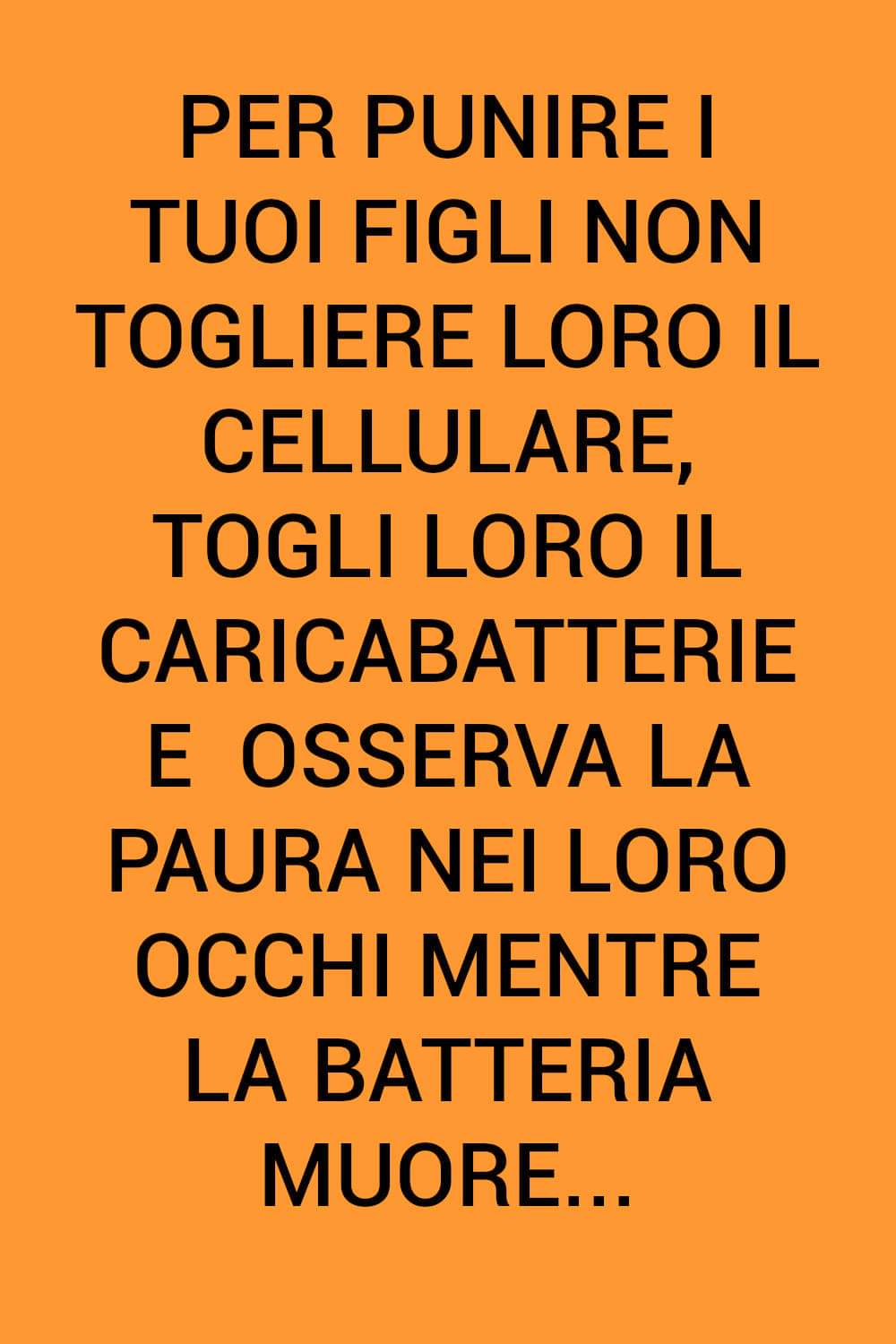 329408075_751670752823162_953932999820231291_n.jpg
