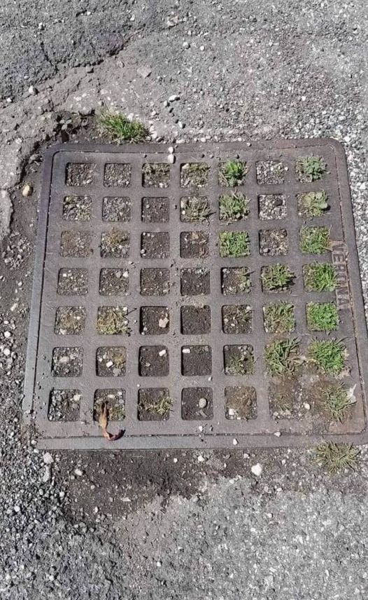 348470551_731188078761269_1411674562025963326_n.jpg