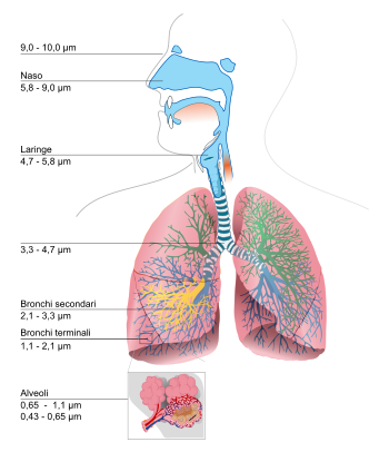 350px-Particulate_danger-it.svg.png