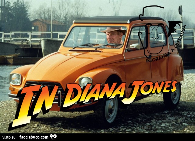 63uwqpigds-in-diana-jones-vaccata_b.jpg