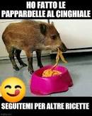 7D07A78A-8827-4AB6-B157-E8BA4AC76D98.jpeg
