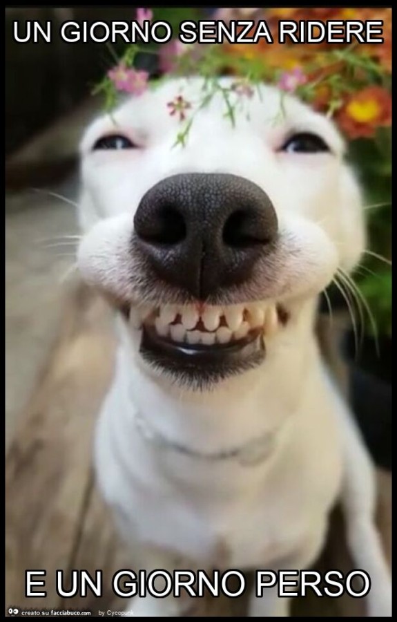 8587918131-un-giorno-senza-ridere-e-un-giorno-perso_b.jpg