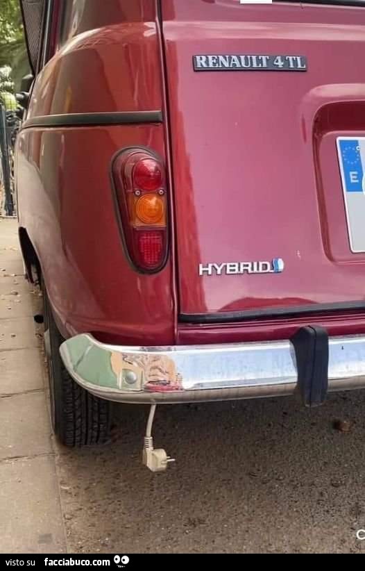 894yul7fc8-orno-vaccata_b_0.jpg