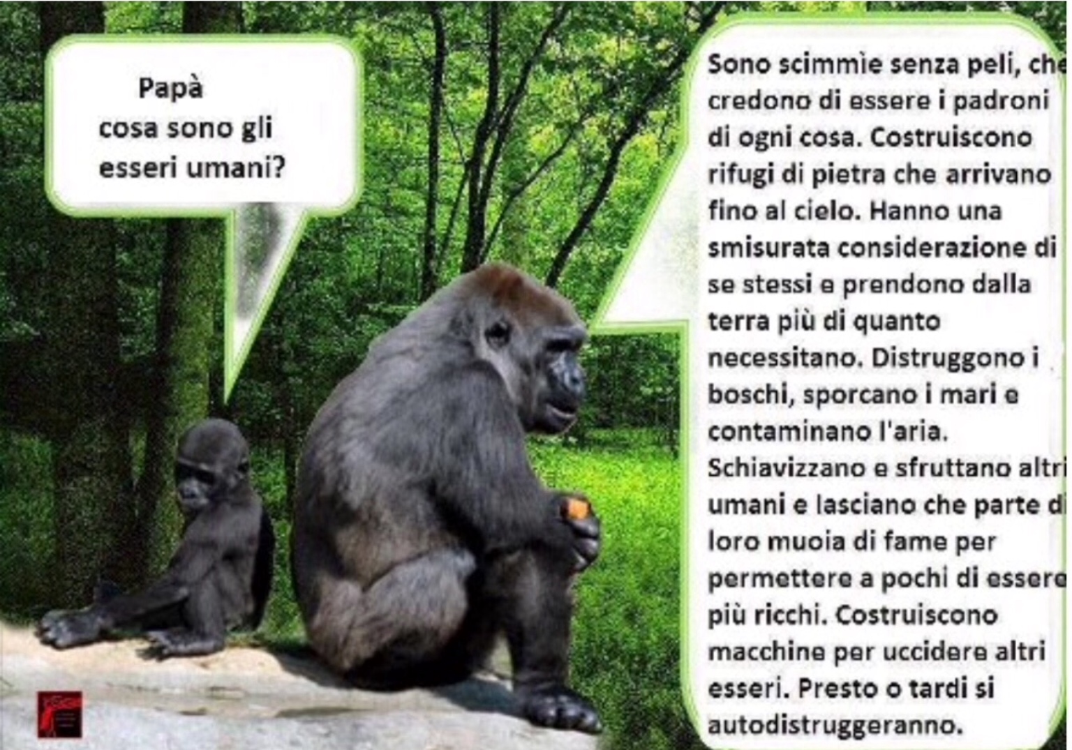 9CD873D0-A3BC-465F-86EF-0ED1D0FBEFF8.jpeg