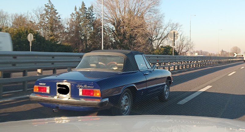 alfa.jpg