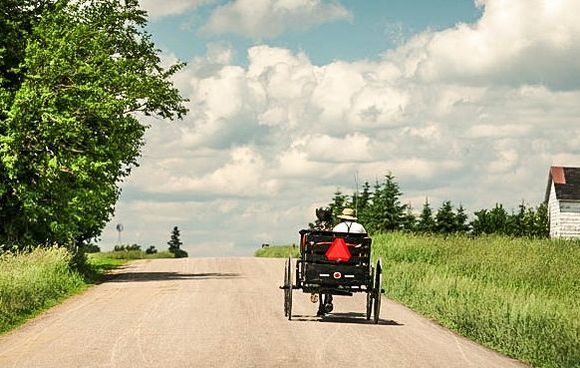 amish-country-image-horse-with-buggy.jpg