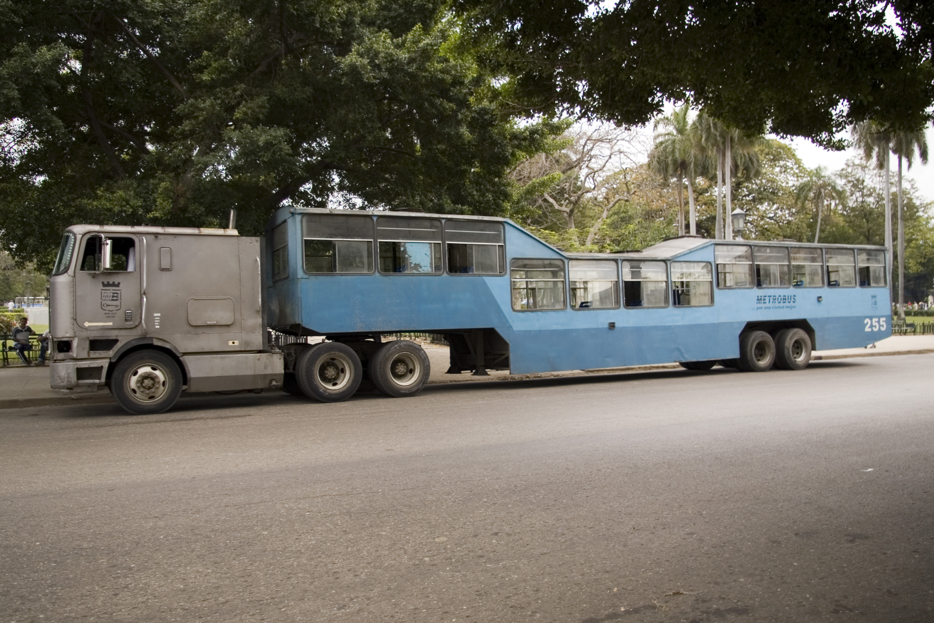 Camel_Bus_in_Downtown_Havana.jpg