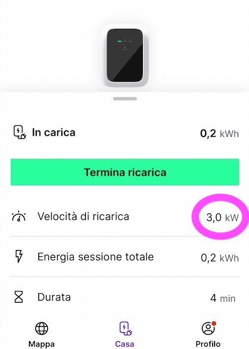 Carica_1.jpg