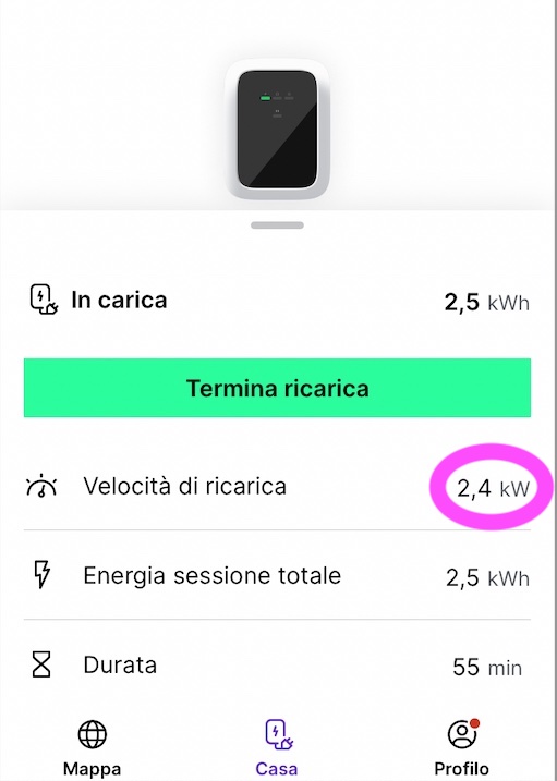 Carica_2.jpg