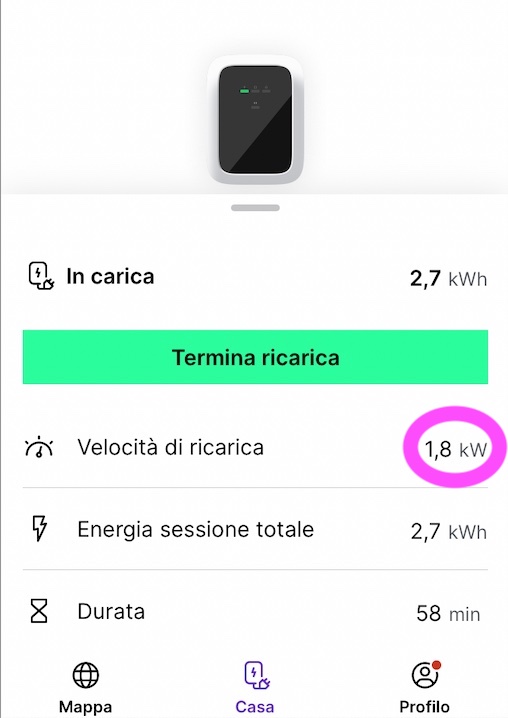 Carica_3.jpg