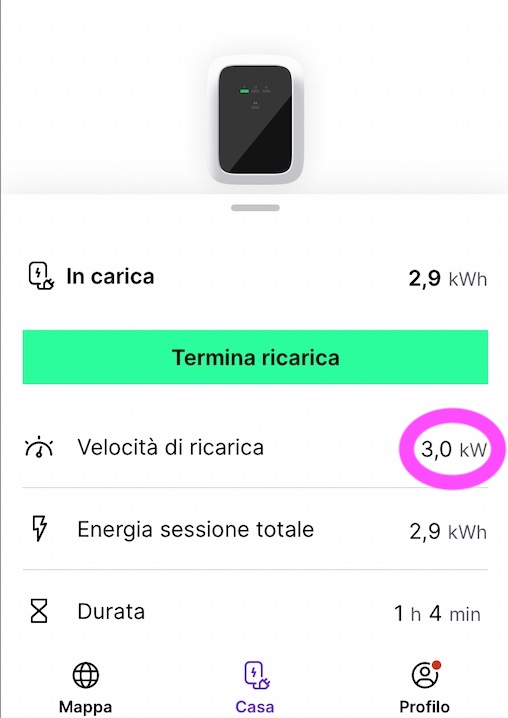 Carica_4.jpg