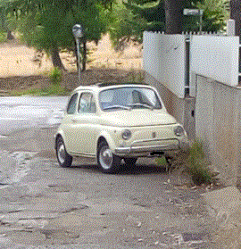 Cattura.GIF