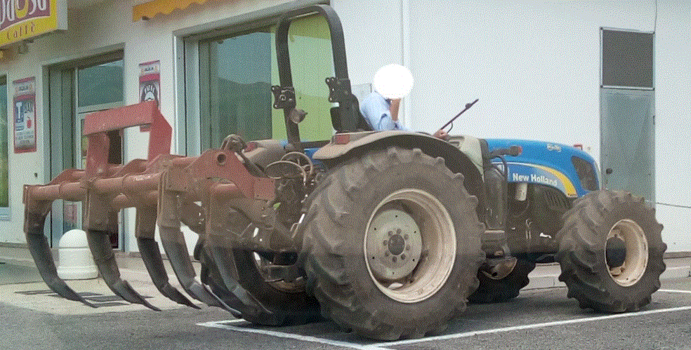Cattura.GIF