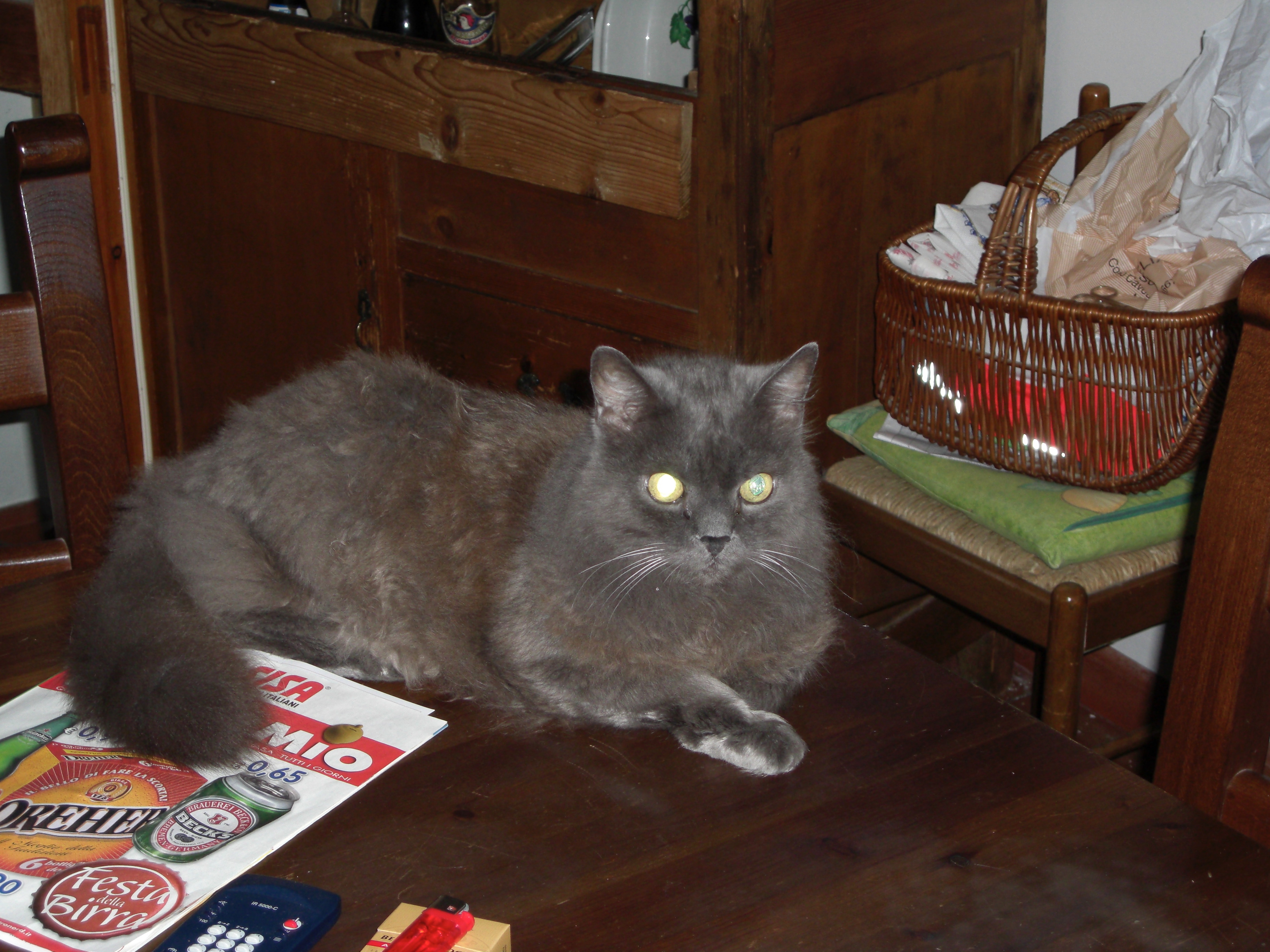CIMG0009.jpg