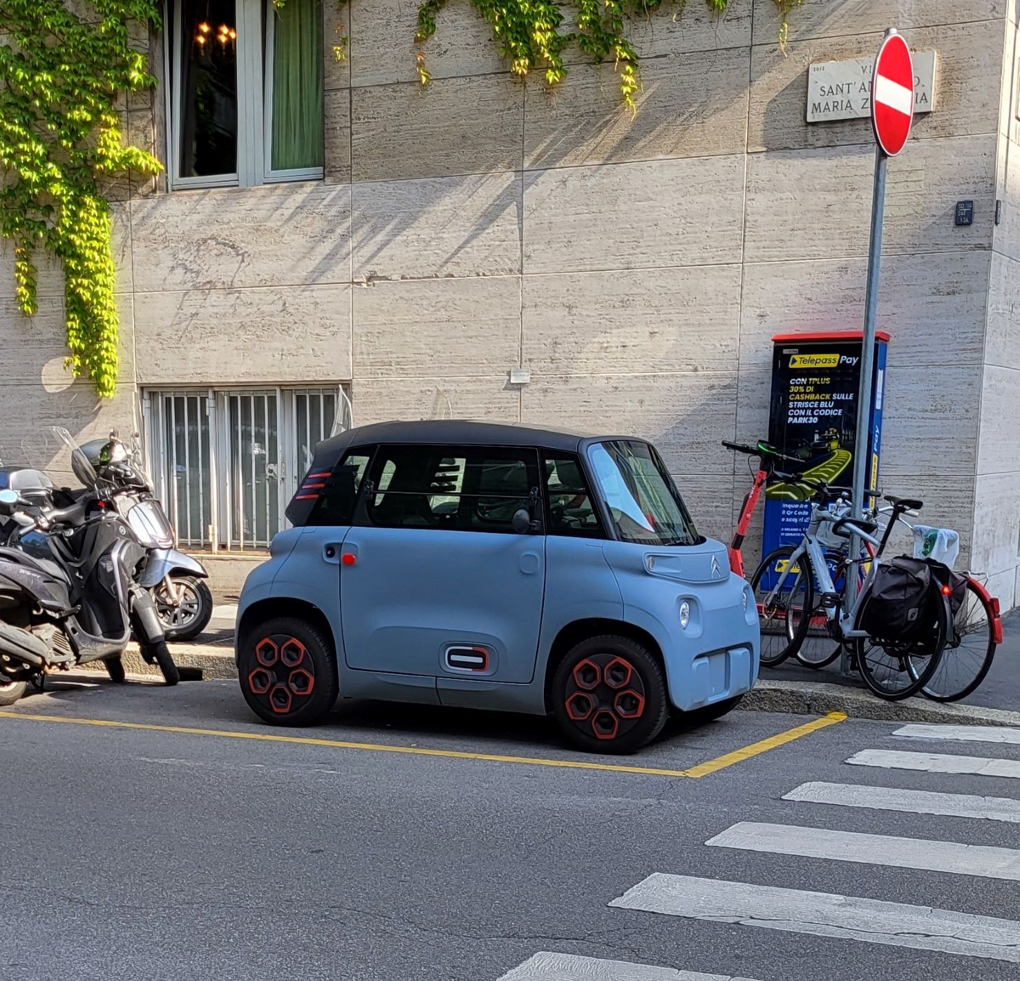 citro2.jpg