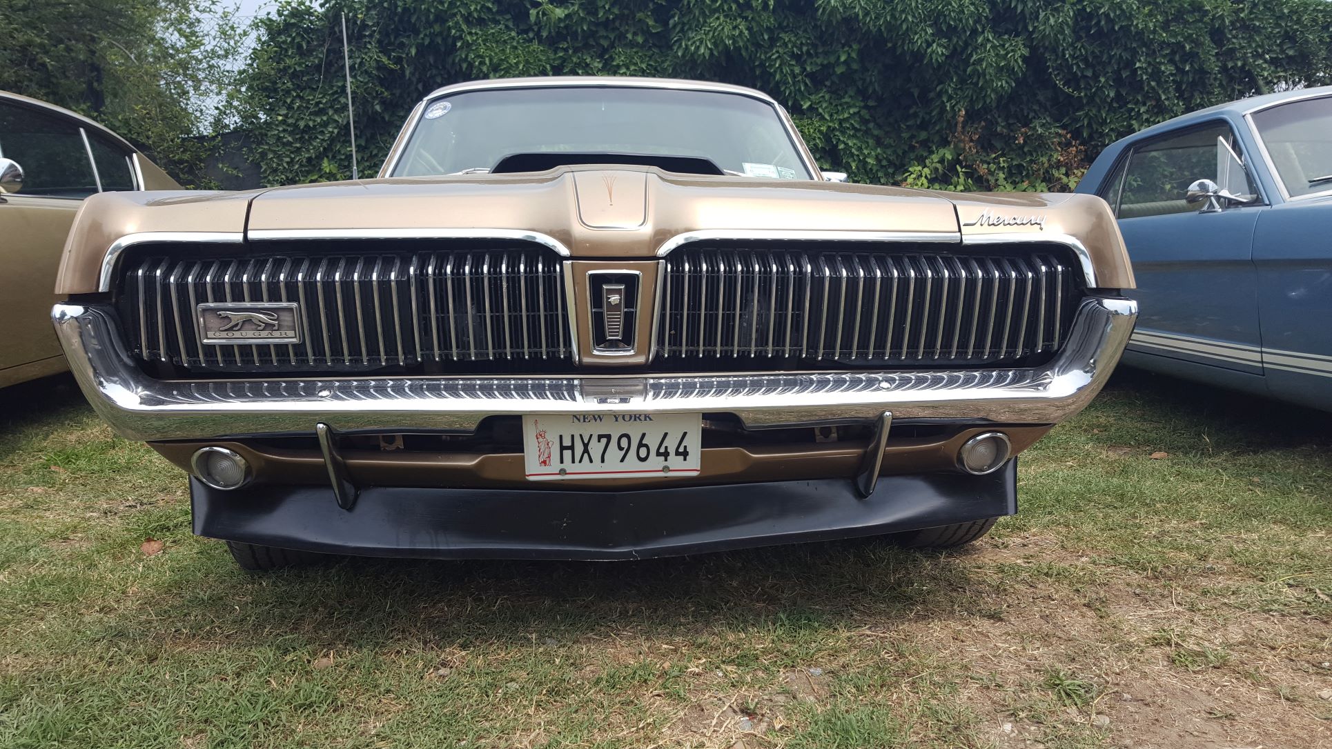 cuda.jpg