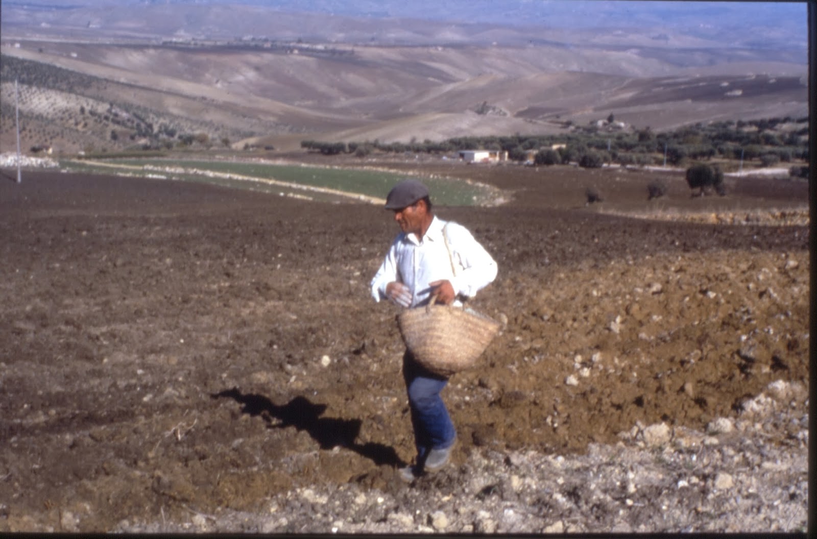 DIA 32 4  semina a mano 1990(1).jpg