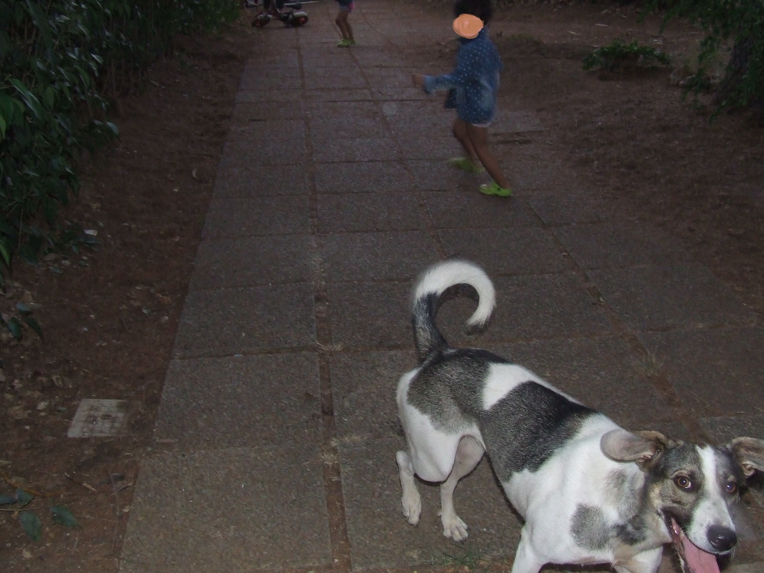 DSCF4136.jpg