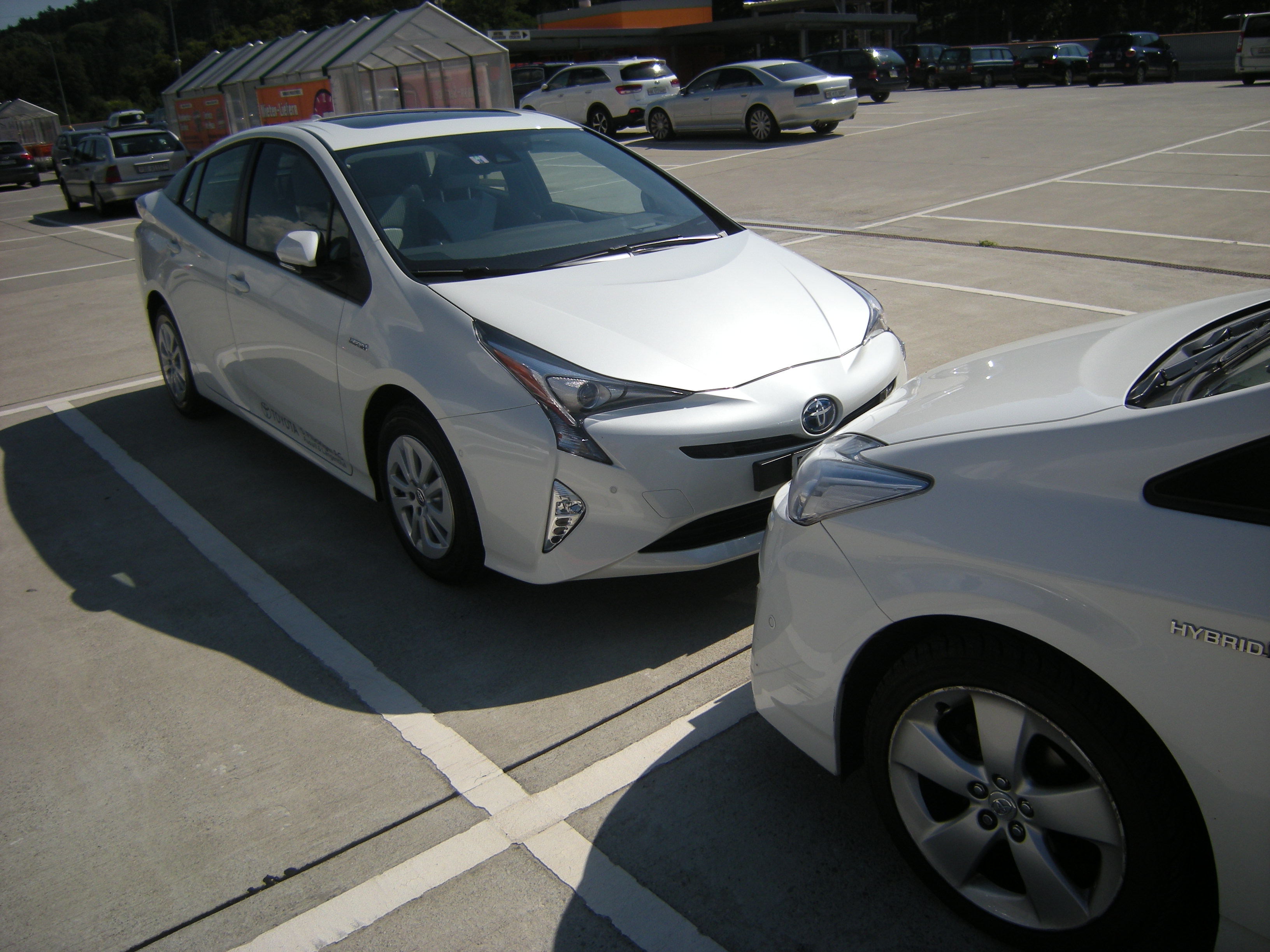 DSCN6017.JPG