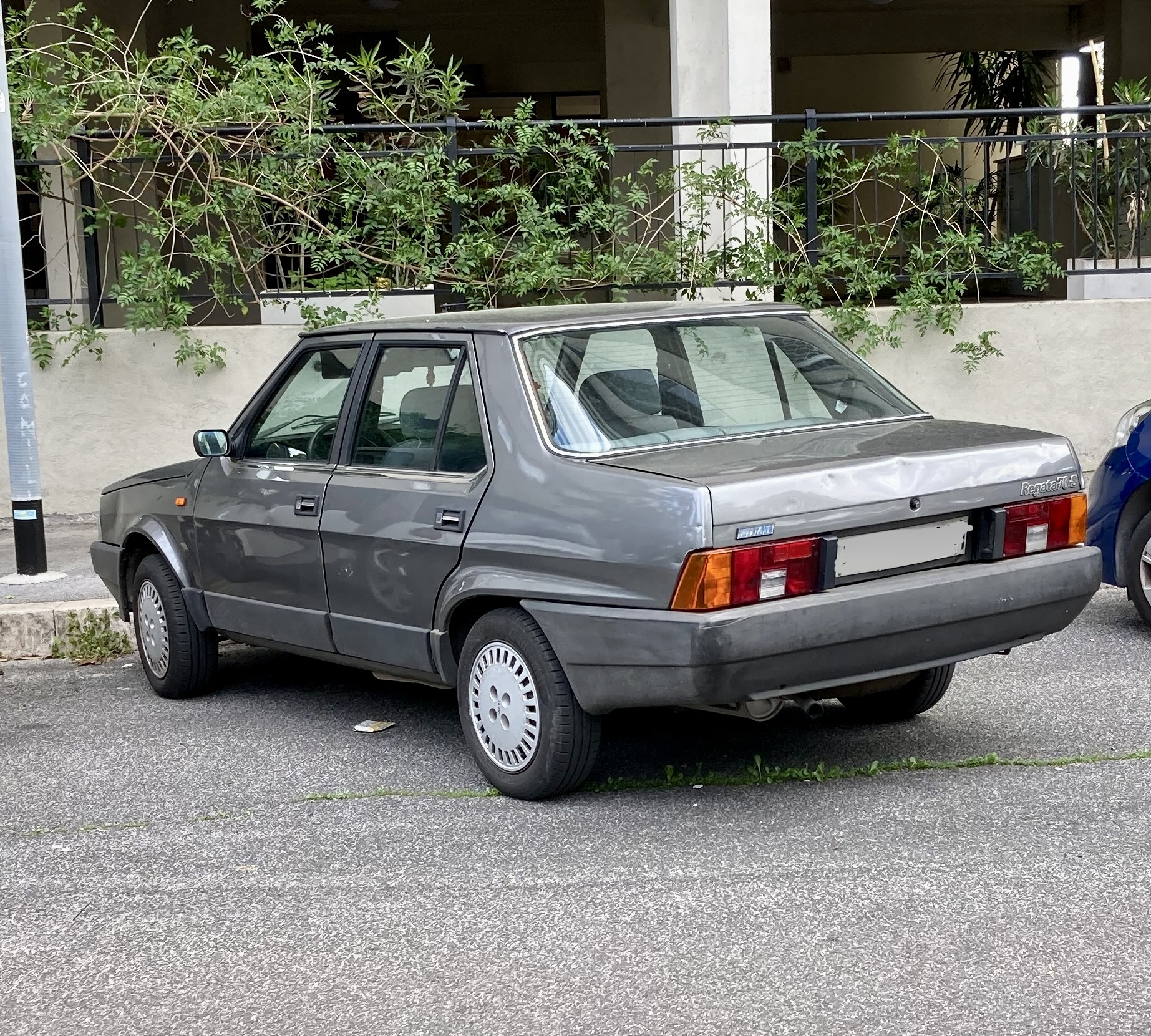 E0CD35F4-AEEC-404A-8510-04CC37EF4A72.jpeg