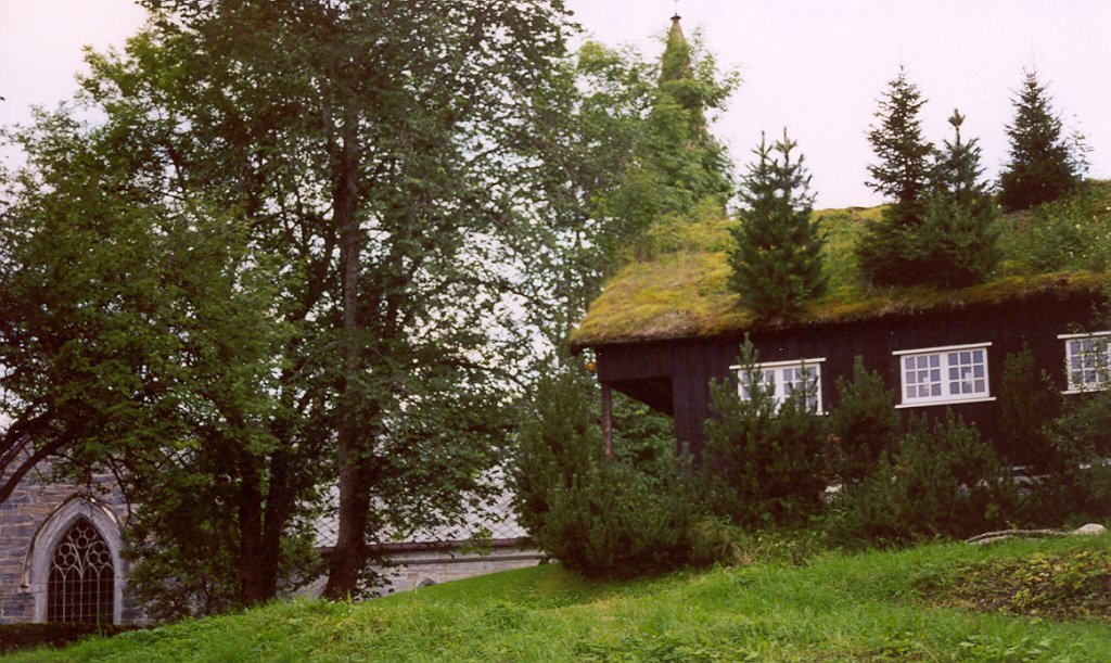 E21.jpg