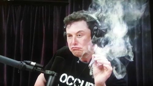 Elon.jpg