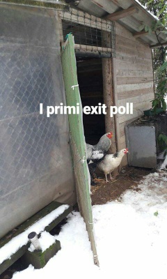 exit poll.jpg