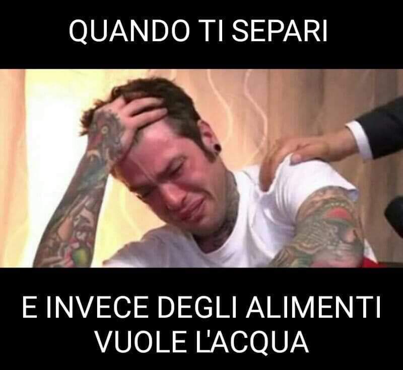 FB_IMG_1539531479234.jpg