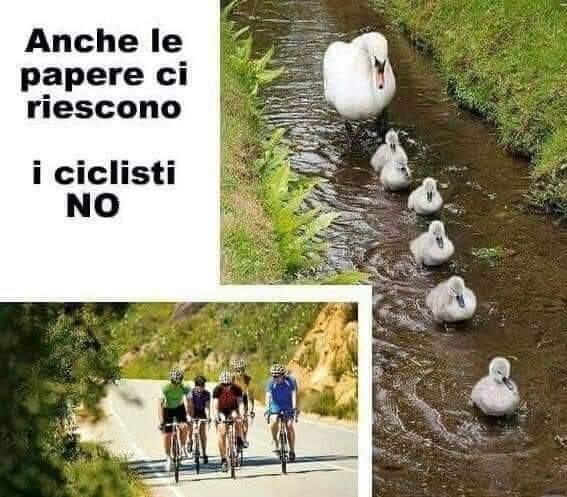 FB_IMG_1653233542638.jpg