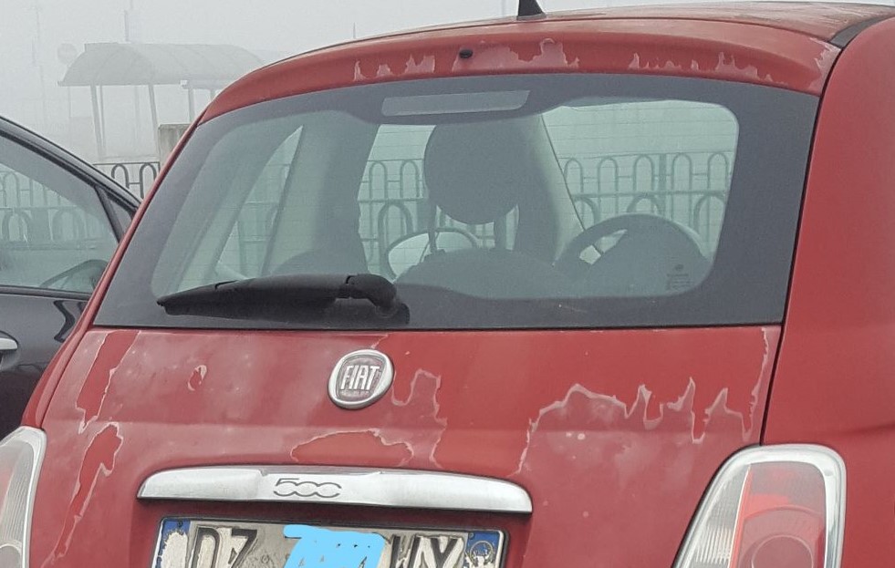 fiat 4.jpg