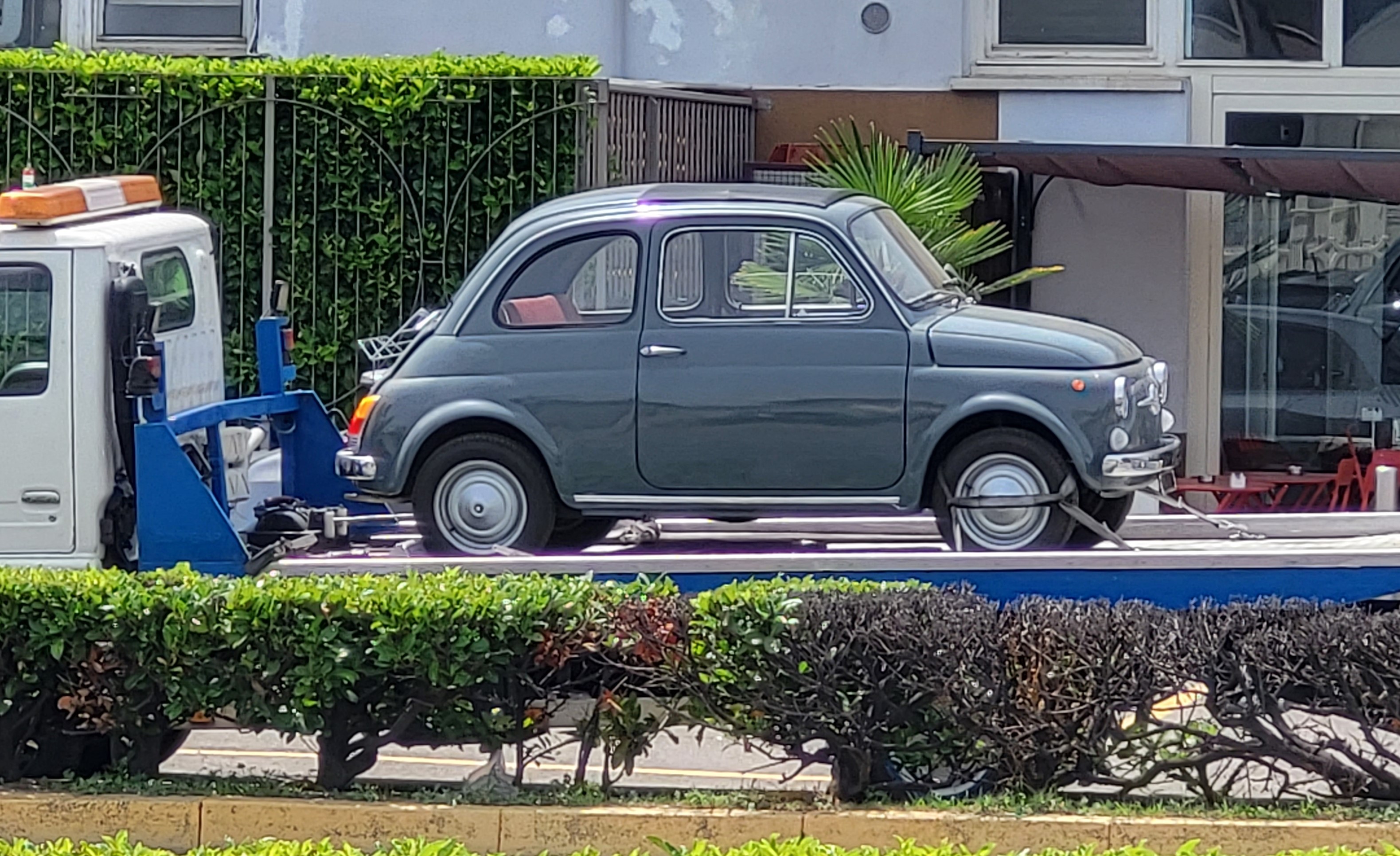 fiat.jpg
