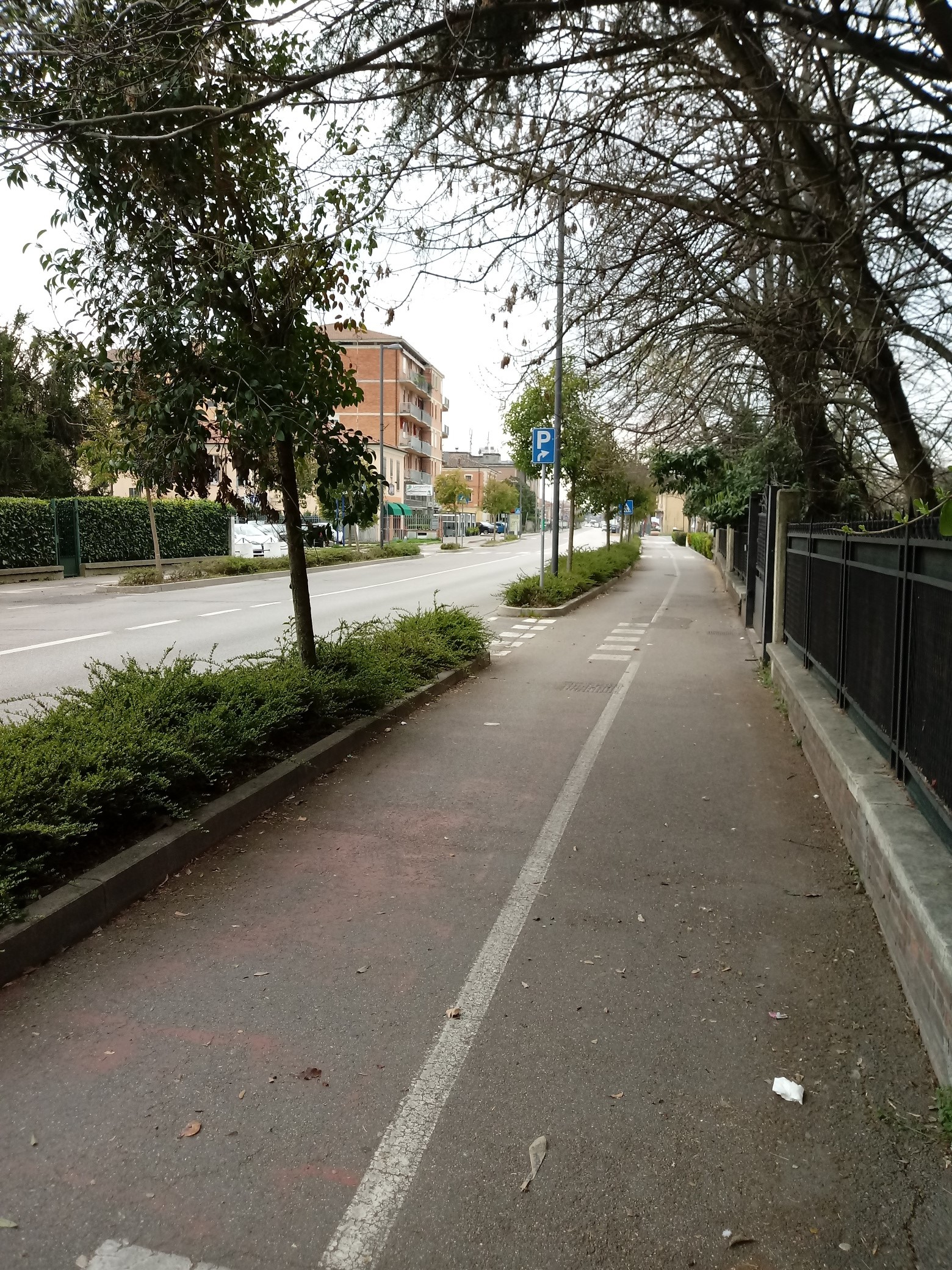 foto strada 2.jpg