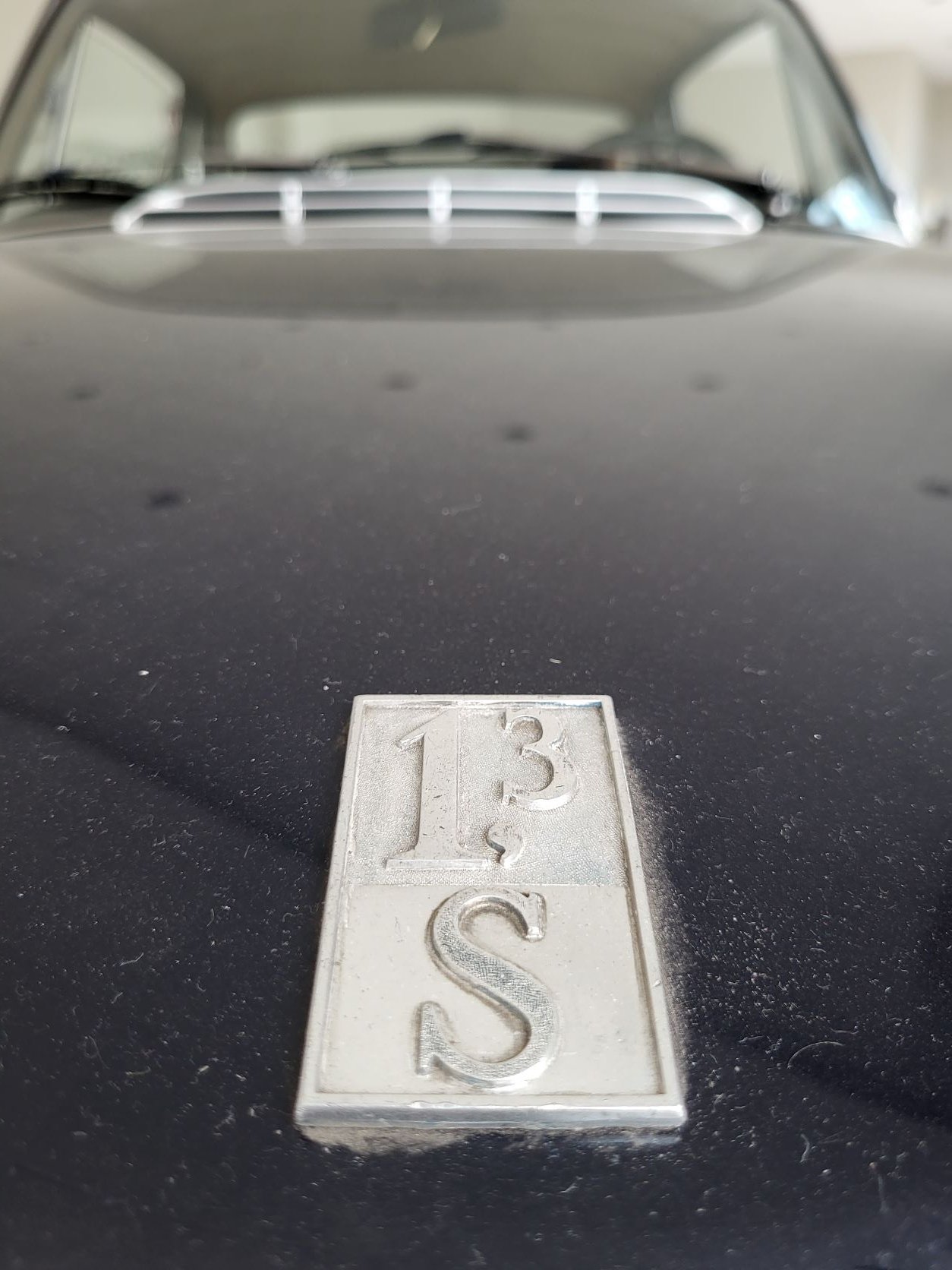 fulvia 1.jpg