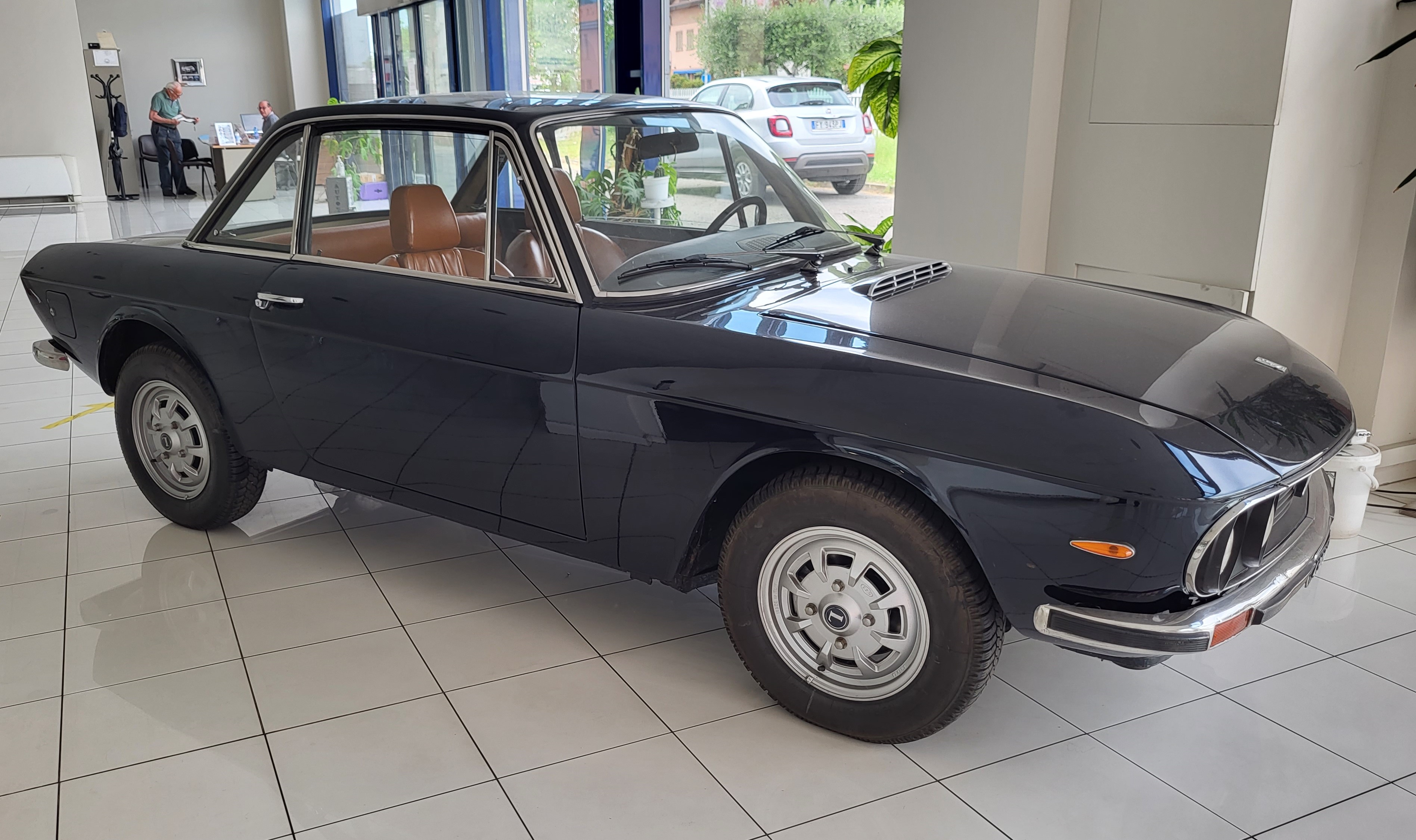 fulvia.jpg