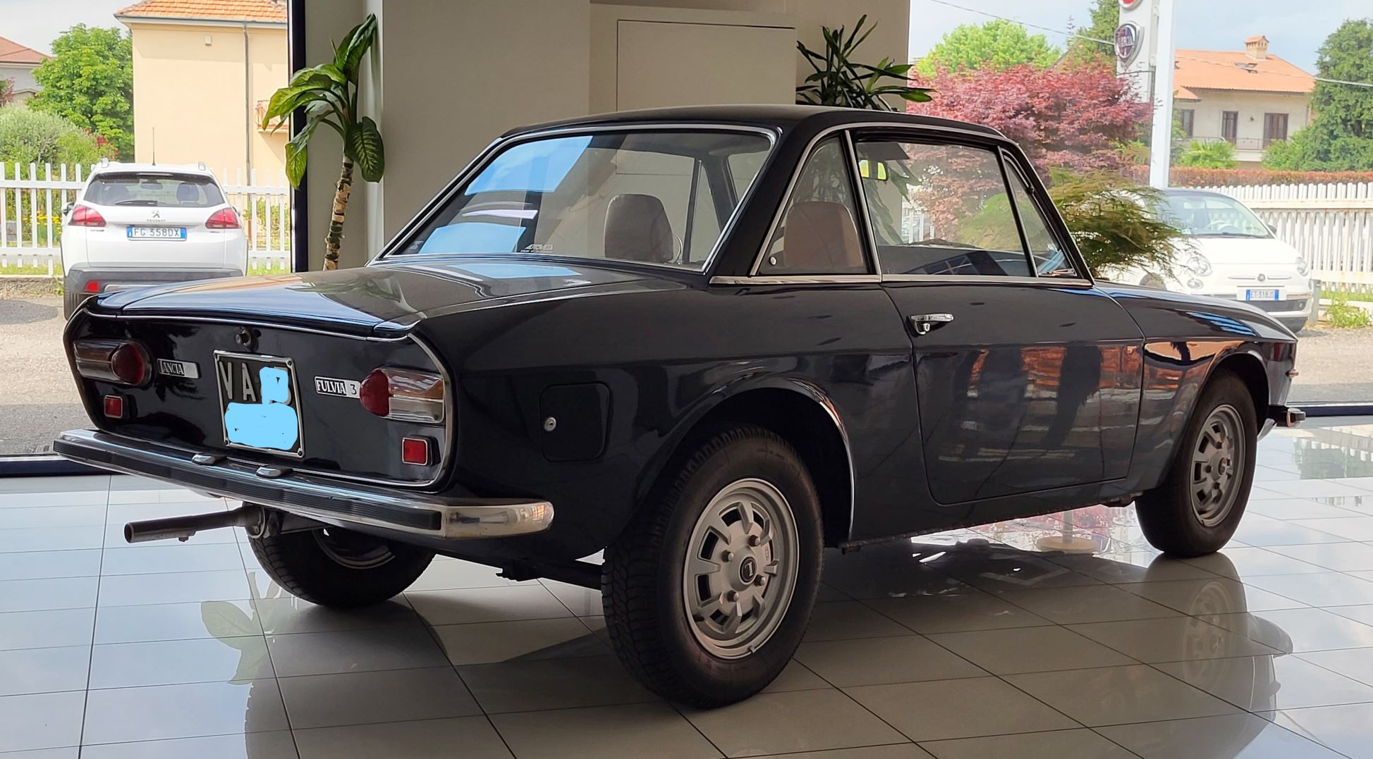 fulvia5.jpg