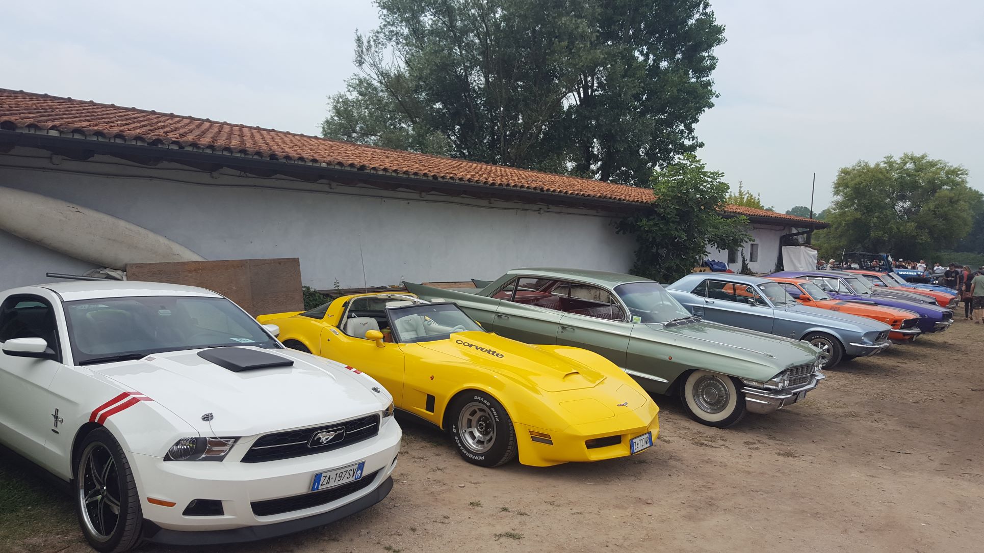 gialla.jpg