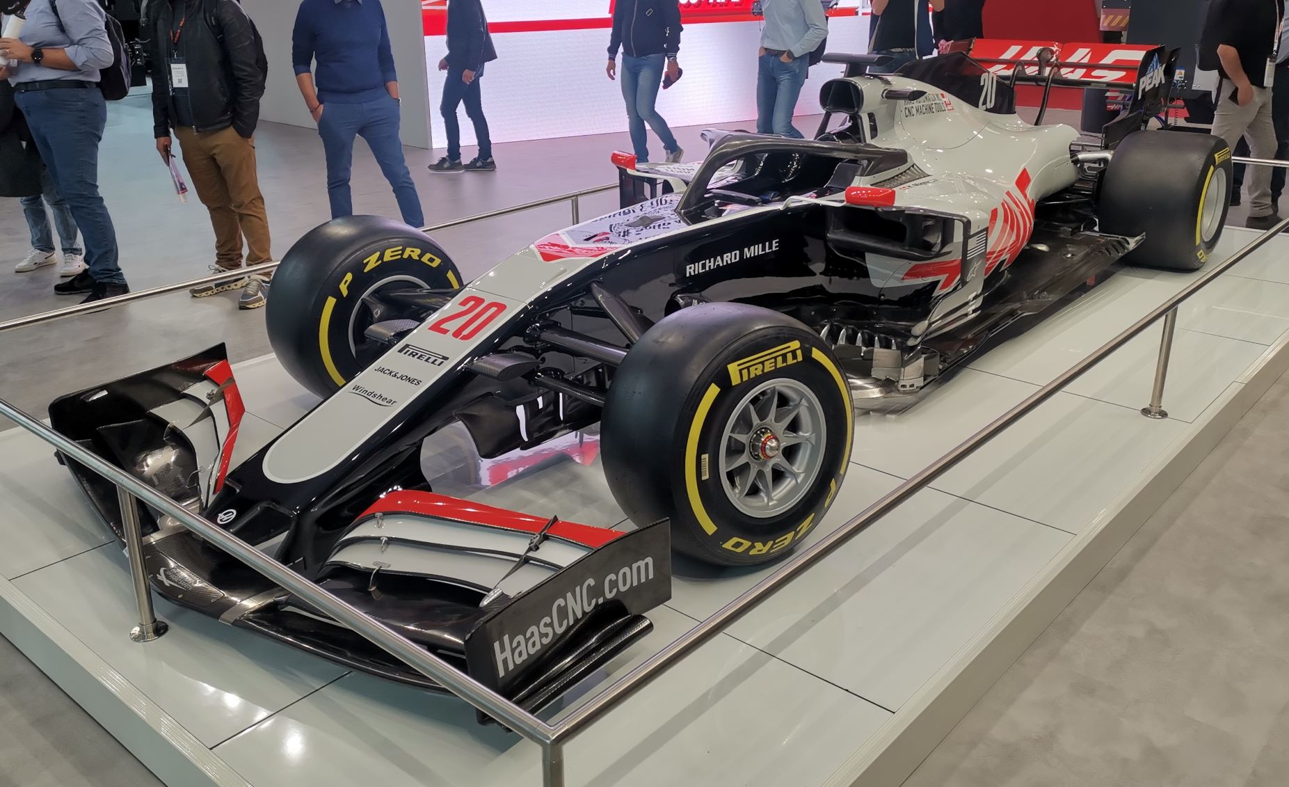haas2.jpg